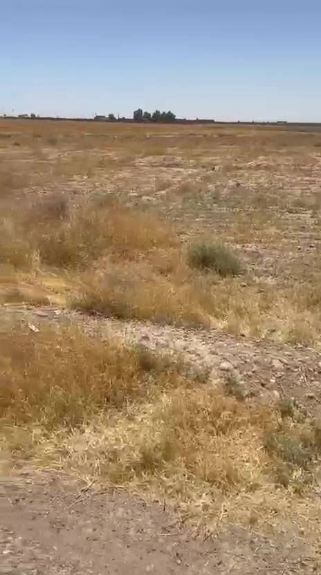 السلام عليكم قطعه ارض للبيع الطيوب قرب مدرسة ظرار بن الأزور عل تبليط عقد زراعي 29 شناس
للاستفسار الاتصال على الرقم *********** 
او زورونا على مكتب المميز للوساطه العقاريه 
حولي المثنى بلشهداء مقابل الجبيريه الثالثه مجاور صيدليه جوهره المدينه
