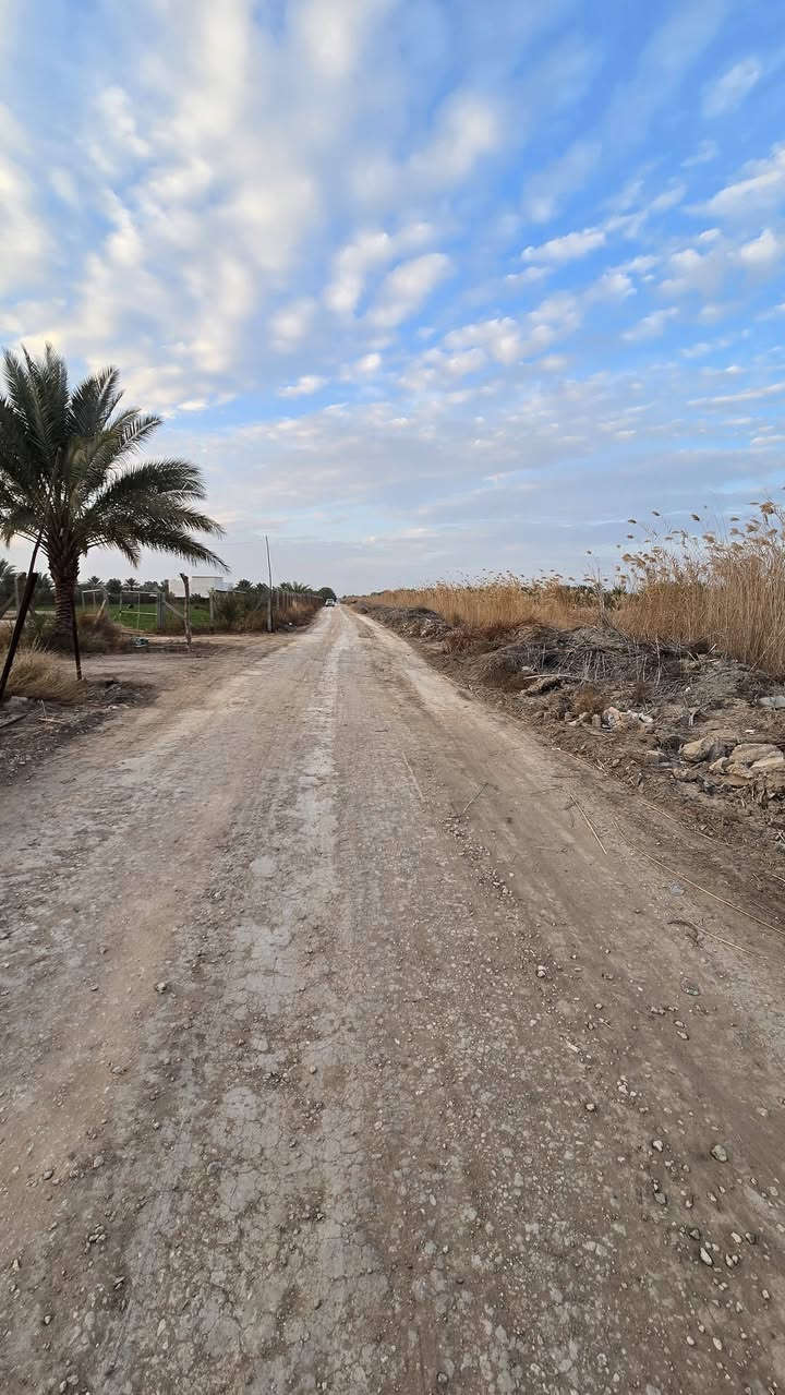 #للبيع 
أرض زراعيه ١٠٠٠ متر  طابو زراعي سند ٢٥ 🏕

تحويل بأسم المشتري 🏕

واجه ١٧  متر 🏕
نزال ٥٩ متر 🏕

تتوفر فيها جميع الخدمات 🍁

طريقها مستقل مع البزل 🍁

تبعد عن شارع البوعلوان الرئيسي ١٠٠ متر🍁

باقي التفاصيل موضحه في مقطع فيديو والصور 📷 

الموقع المحاويل قرية البوعلوان شارع ابو الطياره قرب مدرسة العروبه او البزل الرئيسي 🏕

🌿🌿🌿🌿🌿🌿🌿🌿🌿🌿🌿🌿🌿
#للإستفسار اكثر او معرفة السعر يرجى مراسلتنا او  الاتصال على الارقام التاليه او زياره #مكتب #عقارات #اراضي #المحاويل الكائن في قضاء المحاويل حي ١٧ قرب #مقهى الصياد القديم 
*********** / *********** حسين أبو شمس
