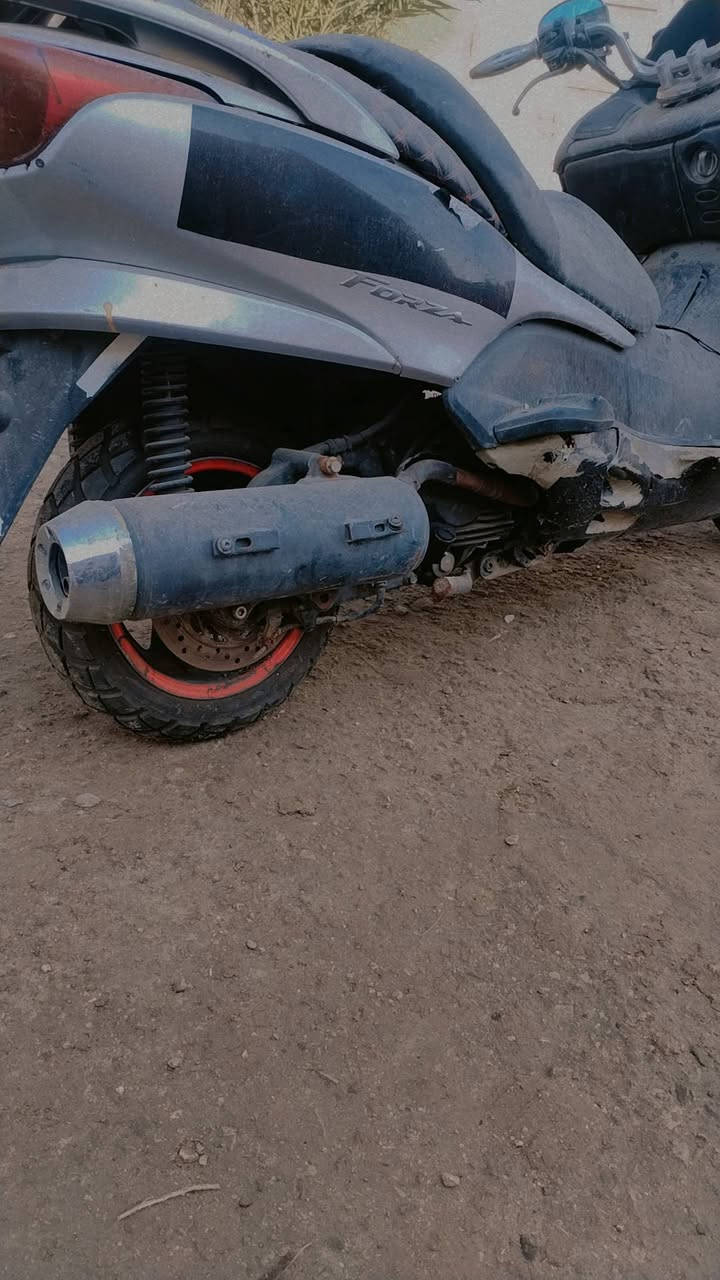 سلام عليكم دراجه فورزه🏍️09عوزه بصمه محترك ولباتري مكينته لاتنقيص التبخير دواجه صارله شهر واكفه تايراته جدد فتبم جديد  اسعر 450 وبيه مجاله لطيبين متوازي عله بعته لتواصل بي واساب ***********
