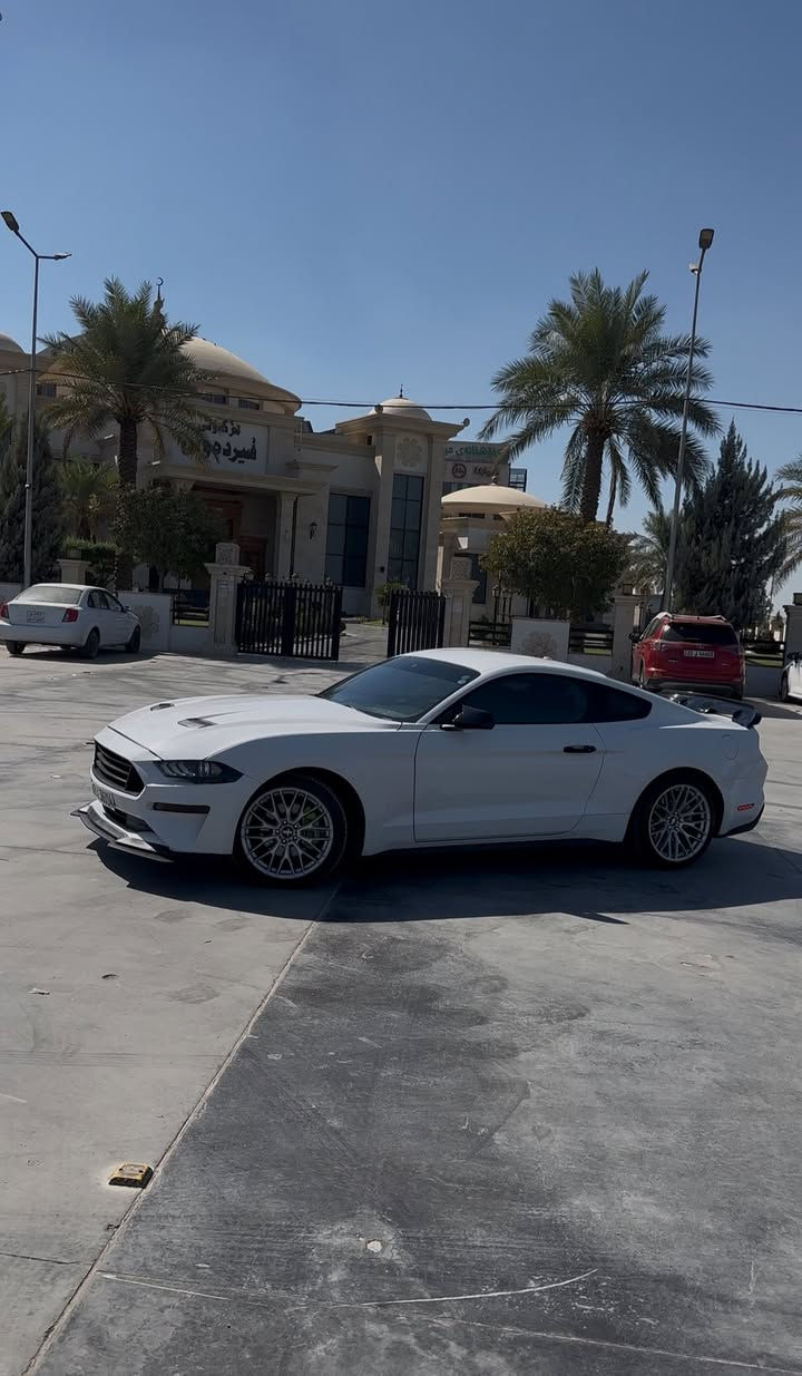 اللهم صل ع محمد وال محمد
النوع: Ford Mustang 🐎🚗 بريميوم يعني فول فول موصفات 
ملاحضه السياره (ايكو بوست) محرك 2.3 توربو ✈️ 
الموديل:2020
عداد المسافات: 76mi 
الموصفات 
1-كشنات جلد 
تدفئه كشنات +تبريد 
2-كشنات كهرباء
3-بصمه-تشغيل عن بعد
4-شاشه كبيره
5-Car Play
6-شفتات ستيرن
7-نضام sport 
8-ويل رياضي حجم 19
9-اشاير بلمري هيتر 
10-ترحيب ابواب 

الضرر بنيد وجاملغ ايسر
وجاملغ ثاني الايمن كلير بسيط 
رقم سليمانيه الجديد 
 مكان السياره الحله مركز مدينه 
*********** للاستفسار 
السعر 150 وبيه مجال 

Type: Ford Mustang 🐎🚗
Trim: Premium (Full Options)

Note: The car is EcoBoost with a 2.3L Turbo engine ✈️

Model: 2020
Mileage: 76,000 miles

Features:
 1. Leather seats
 2. Heated & cooled seats
 3. Power seats
 4. Push start + remote start
 5. Large display screen
 6. Apple CarPlay
 7. Steering wheel paddle shifters
 8. Sport mode system
 9. 19-inch sport wheels
 10. Side mirrors with turn signals + heater
 11. Door welcome lights

Damage:
 • Left fender and left front door
 • Minor clear damage on the right fender

Plate: New Sulaymaniyah registration

Location: Hillah city center – Al Hillah
