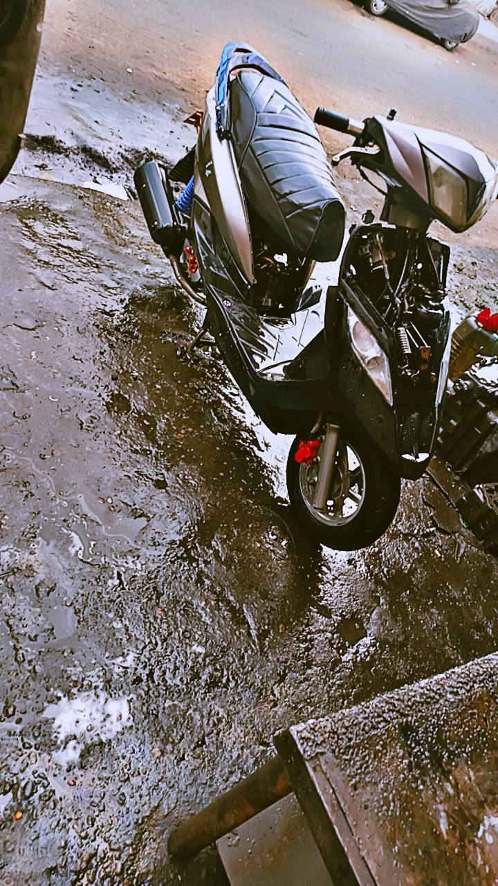 ثعلب للبيع 
300
***********
