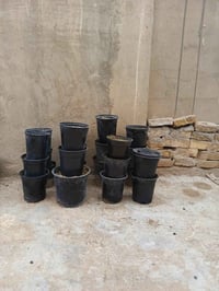 سنادين • عدد ٣٠ • نجف