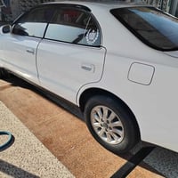 شيزر • ٢٠٠٠ • رقم كربلاء