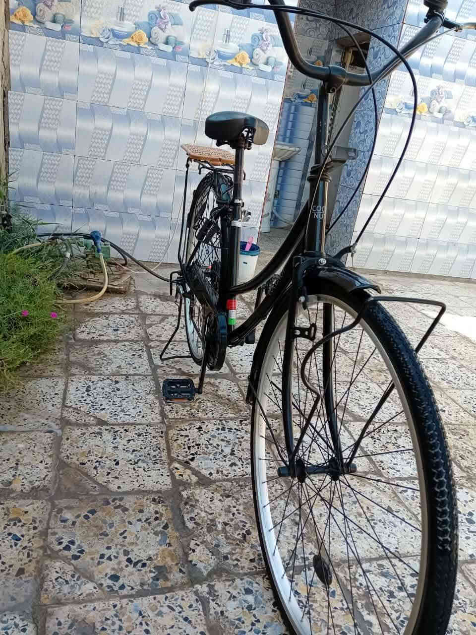 السلام عليكم ورحمة الله
بايسكل للبيع حجم 27 عكرب موصفات كدامك يختلف عن الصوره موديل 2020 رايده 100 وبي مجال للطيبين مكاني بابل القاسم مقابيل جامعه الخضراء الاستفسار ***********
