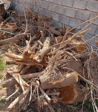 كرامي حطب للبيع  07749226080