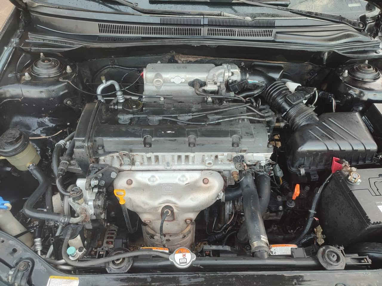 السلام عليكم كيا سبكترا موديل2008 رقم كربلاء تحويل مباشر حادثه جاملغ خلفي مصبوغه  احزام كير  مكينه حداديه تخم تاير تبريد كفاله العنوان كربلاء السعر 78 بيه مجال 
***********
