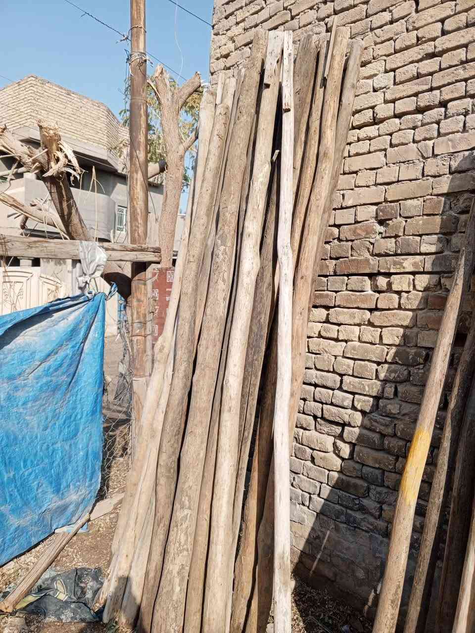 تكم للبيع طول 3/30 للبيع المكان حله للاستفسار ***********
