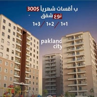 باك لاند • خلف مدينة ألعاب • نقد وأقساط