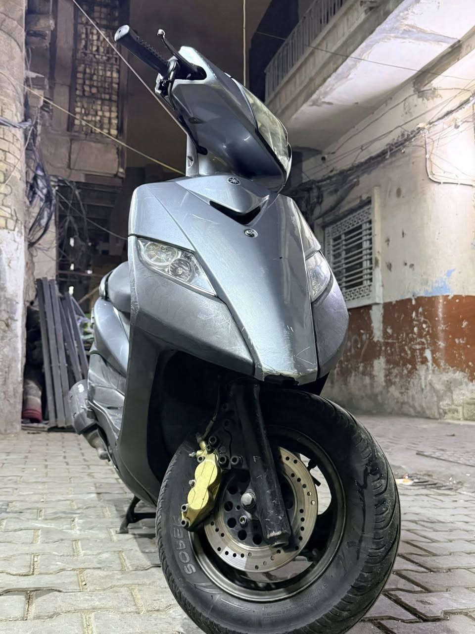 ثعلب رمبه كفلا عامه  /*********** وتساب
