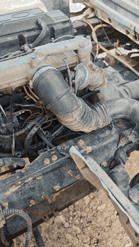 كيا حمل • ٢٠٠١ • ديالى جبارة