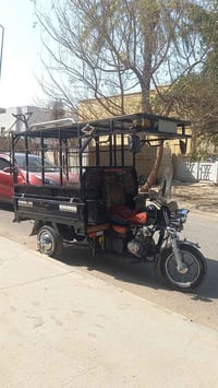 لبيع ستوته صقر اصولي 23 رقم 07739940623