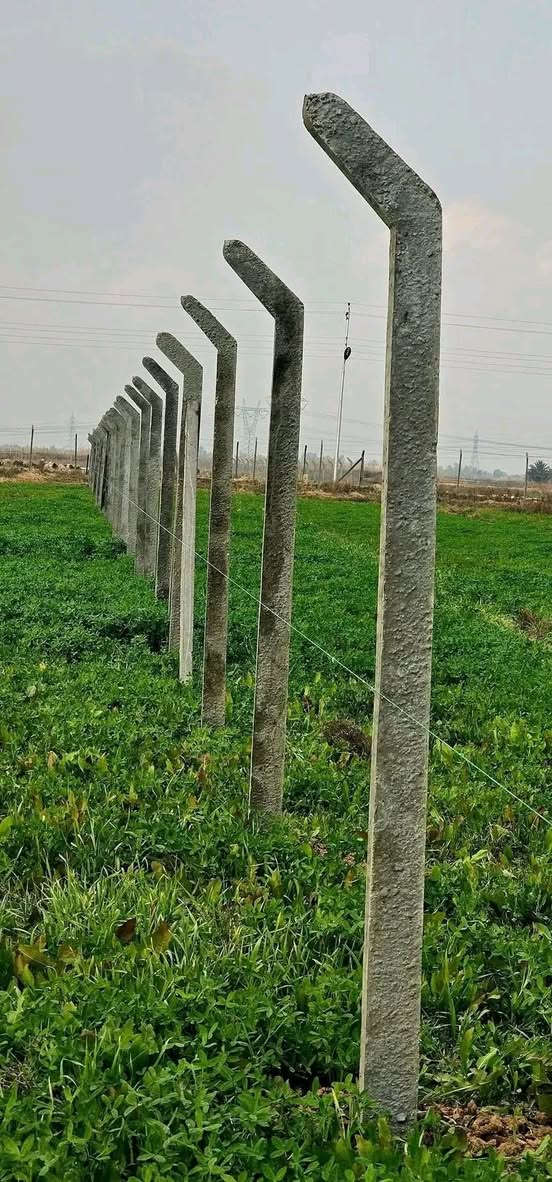 عمل ونصب اسيجه البيارسي بأنواعه الاسعار حسب نوعيه سمك السيم نعمل في جميع محافظات العراق للاستفسار الاتصال
واتساب***********.
