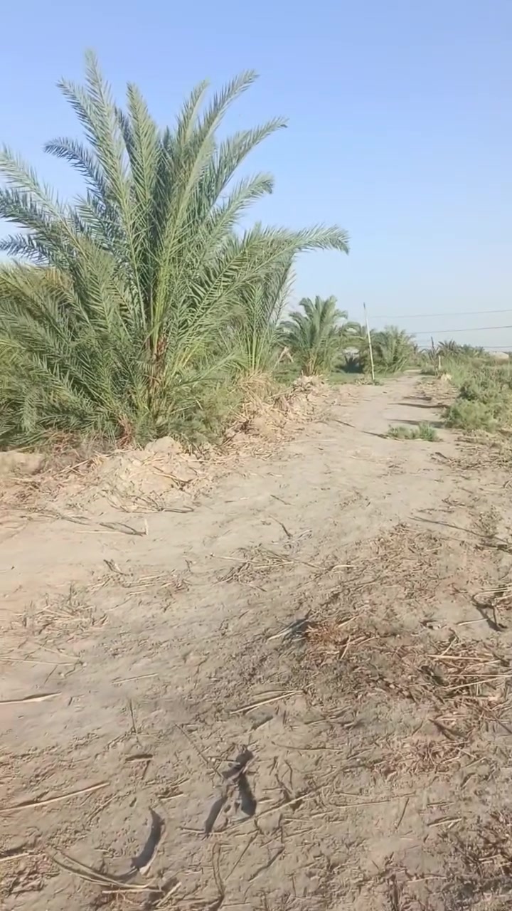 يالله سلام عليكم  دونم للبيع على طريق لحلو مساحته دونم  لواجه 20 ونزال 125 مثل ما واضح بل فديوو سعرا اتصال على الارقام او مراسلة صفحه  
*********** ////***********

