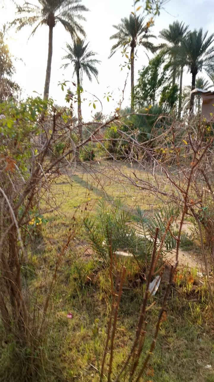 🔹 قطعة أرض للبيع – موقع مميز 🔹
📍 الموقع: الصياحية – قرب كوين بارك
📐 المساحة الكلية: 2 دونم
🏠 تحتوي على دار
🔸 إمكانية البيع:
بيع دونم واحد فقط
أو بيع دونم مع الدار
أو بيع كامل المساحة (2 دونم)
📄 سند 25 زراعي
✅ متوفر كافة الخدمات
🛣️ موقع جميل وقريب من الشارع
📞 للاستفسار مراسلة الصفحة أو الاتصال على الرقم:
***********
