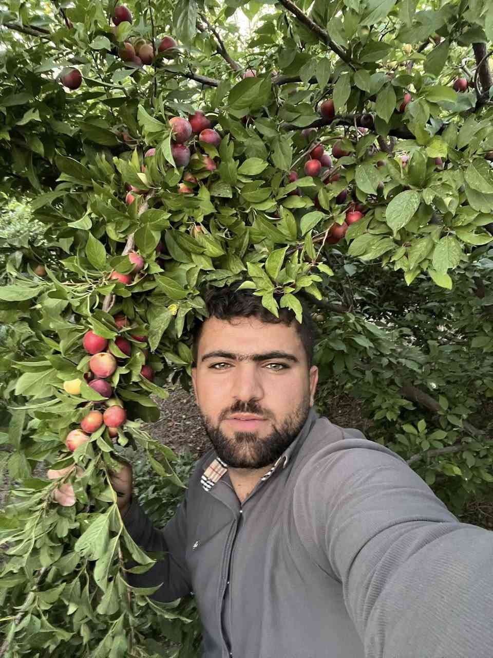 ‎نەمامی هەلوژەی سەوز 
‎(گەلاسی ئەمریکی )
‎هەلوژەی سور 

‎قەلەمی دەستی خۆمانە بەشەرت
‎نرخی3هەزار
‎رسمەکان هی هامان دارن کەلیمان قەلەم کردو 

‎بۆزانیاری زیاتر پەیوەندیمان پیوەبکەن 
٠۷۷۳۳۷۷۸۱۲۱
٠۷٥٠۱۷۷۸۱۲۱
‎ناونیشان 

 ‎رانیە گوندی کانیماران


**إذا كنت صاحب هذا الإعلان وتريد حذفه لأي سبب، رجاءا أرسل رسالة إلى الدعم الفني**