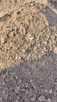 يوجد دمن دواجن نضيف فول هاذه الرقم 07826951509 بيكم خير تددللون