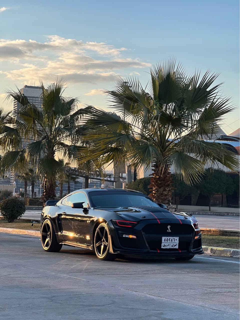 السلام عليكم 
بيع او مراوس
موستنك ستة سلندر 
‏Mustang 2016 V6
كير محرك اكسل شرط
صبغ بوند محدث واربع قطع ابيع حزام 
ايرباك دشبول مطاك 
ماشيه١٠٧ ميل
صدر امامي خلفي جديد
تبريد كهربائيات شرط
الاضافات
دعاميه شيلبي
لحية شيلبي
سبويلر جيتي 
كزوز روش دبات
دفيوزر 
داخل كاربون فايبر كامل حتى قعده مال تبريد كاربون فايبر
اناره داخليه الوان
 ويل ٢٠ فويسن يخبل
تايرات نظيفه
لايتات ليد احمر 
 كوشن كهربايي
كزوز رياضي فصله و طلاقات
سياره شرط مابيها مصرف نهائيه
رقم اربيل 
تحويل شرط باسم شركة 
مكان سياره دهوك
سعر 128$ وبي مجال بسيط 
للبيع او مراوس شمالي فقط
‏Watsapp *********** أربيل, العراق
