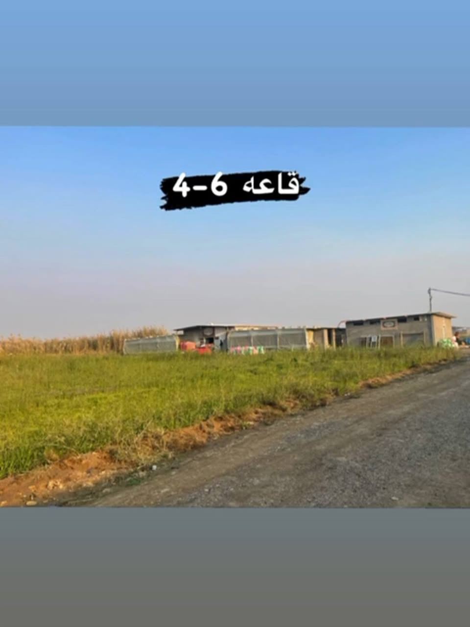 🔴⚪ اعلان رقم 30 ⚪🔴

#مشروع_استثماري مميز و فريد من نوعه 

( #فرصة_العمر )

#ارض مساحتها 22٫5 دونم بالسند واقع حال 26 دونم 

#تحتوي على 
#حقول دواجن عدد (6) 
#الحقول اوتوماتيكية بالكامل ( فول اوتو ) 
كل حقل يحتوي على #غرفة_سيطرة و تحكم خاصة 
كل حقل يحتوي على #منضومة_تدفئة_و_تبريد 
الحقول مجازة و رسمية بسعة استيعاب
50  _ 70 الف ( لحم ) 
35 _ 40 الف  ( بياض ) 
بالاضافة الى حقل 7 ( #كايدز ) منجز بنسبة 60 ٪ 
مع اضافة الحقل السابع تزداد سعة الاستيعاب الى 120 الف ( لحم ) و 70 الف ( بياض ) 

تحتوي الارض على #معمل علف كامل مع مخازن للاعلاف 

تحتوي على 5 #مولدات كبيرة الحجم 
100 kv _ 160 kv _ 250 kv _ 250 kv  _ 300 kv   

تحتوي على بيت كامل يحتوي على 
#مكتب_ادارة + #غرفة_عمال + #مطبخ + #غرفة_نوم + #حمام كرمكم الله 

تحتوي على 4 خطوط #ماء_اسالة مع خزانات صب كونكريتي تحت الارض  

تحتوي على #محولة خاصة 

الارض #مسيجة من جهتان 

#كادر_العمل متميز و نضامي 

الارض شغالة حالياً 

العنوان #محافظة #واسط #قضاء #العزيزية 

موقع الارض جداً ممتاز قرب الشارع العام 

السعر للدونم الواحد 55 مليون قابل للتفاوض 

 للاستفسار اكثر مراسلة الصفحة الرائد للاستثمار العقاري  
او الاتصال على الارقام 

*********** مؤمل احسان 
***********  احـمـد العباسي 

 متابعة للبيج وعمل لايك للاطلاع ع افضل وانسب العروض المناسبة لكم دائماً 
 
" #مع_الرائد_نحوَ_الريادة "

 "#الرائد ثقتكم الدائمة واستثماركم الناجح "
