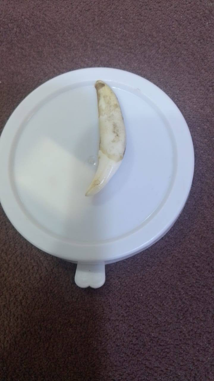 سن ذئب


**إذا كنت صاحب هذا الإعلان وتريد حذفه لأي سبب، رجاءا أرسل رسالة إلى الدعم الفني**