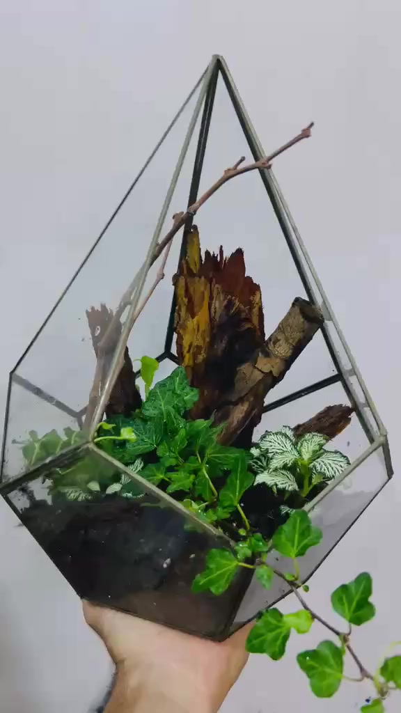 السلام عليكم رمضان كريم وصيام مقبول
اخوان الي يريد هيج تحف بأي حجم واي تفاصيل مستعد الاخ أحمد خضر يوفرهن آلى بكافة التفاصيل والقياسات والاسعار مناسبة جدا حبيت الكل تستفاد لأن اني طلبت منه وإن شاء الله هم راح اخذ منه قياس اكبر .كل التوفيق والنجاح عمي شغل ولاغلطة .طبعا الفيديوهات هذا الشغل ماكامل بعد اكو اضافات تحياتي لكم جميعا 
@الجميع 
@إشارة


**إذا كنت صاحب هذا الإعلان وتريد حذفه لأي سبب، رجاءا أرسل رسالة إلى الدعم الفني**