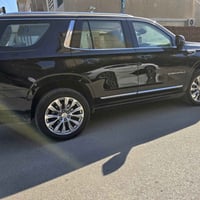 دينالي • ٢٠٢٤ • ١٧٥٠٠