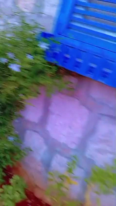 مسبح ومنتزه الخير  اطمه


**إذا كنت صاحب هذا الإعلان وتريد حذفه لأي سبب، رجاءا أرسل رسالة إلى الدعم الفني**