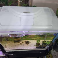 حوض • موصل • نينوى