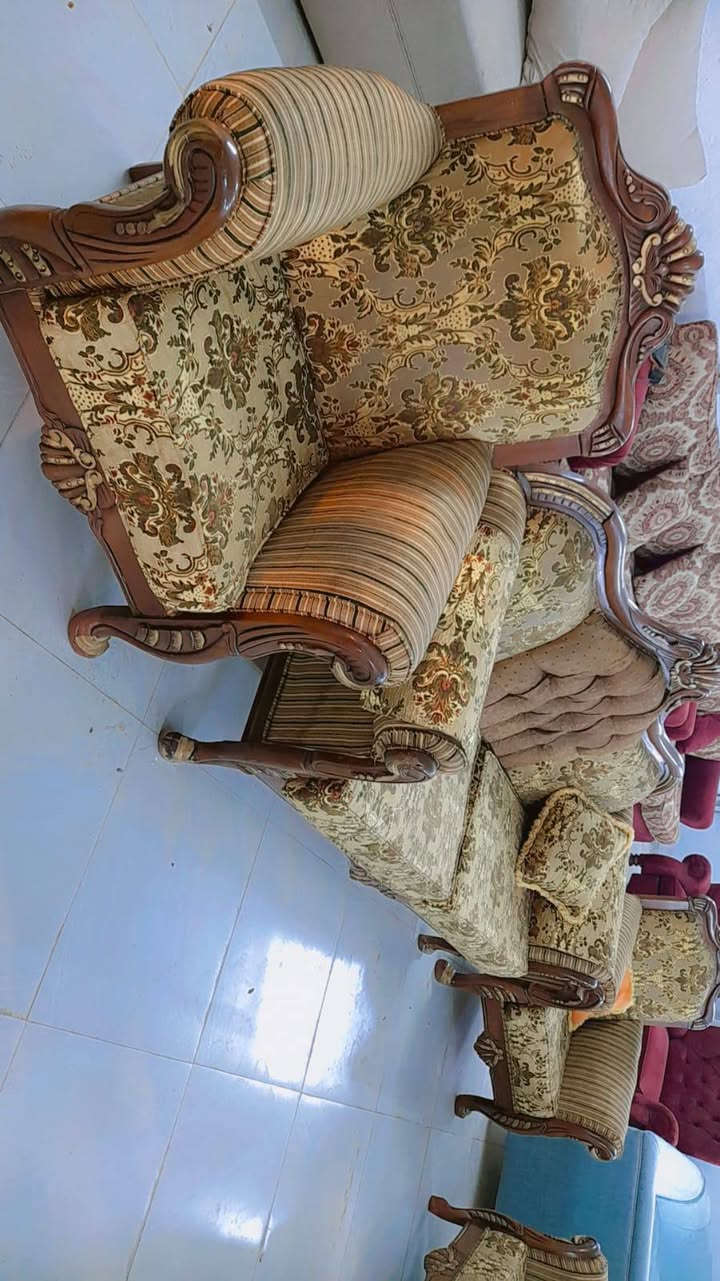 تخم قنفات مصري باله خشب زان الدرجه الاولى للاستفسار واتساب ***********
