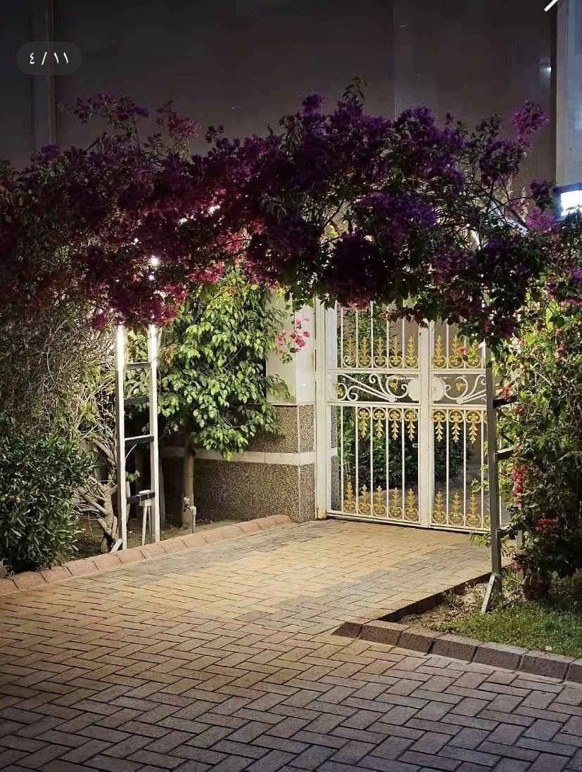 غايتنا رسم الابتسامة على وجوهكم 🥰❤️

  (نعلن لكم الرحلة الدينية والترفيهية إلى جنة الله على الأرض #كربلاء_المقدسة)😍

{أولاً الذهاب يوم #الجمعة إلى كربلاء المقدسة و بعد ذالك الذهاب إلى #مدينة_الامام_الحسين_العصرية )🌝

          🤩(الدخولية للكبار والأطفال مجاناً)🤩

تحتوي مدينة الامام الحسين العصرية على 😇

مساحة خضراء وحديقة زهور 🌷🌼✅
مدينة الألعاب متكاملة للكبار والصغار 🚲😍✅
سلسلة مطاعم 🍔🍰🍽️✅
ستوديو تصوير 📸☺️✅

الذهاب يوم #الجمعه في تمام الساعه 🕰️(8:00)صباحاً 
والعودة الساعه 🕰️(10:00)ليلاً 

تنطلق حملتنا 🚍من قضاء الخالص والقرى المجاورة 
للحجز الاتصال ☎️على الارقام التالية 
***********_***********
محمد حجي ياسين 
(واتساب أو ماسنجر)
