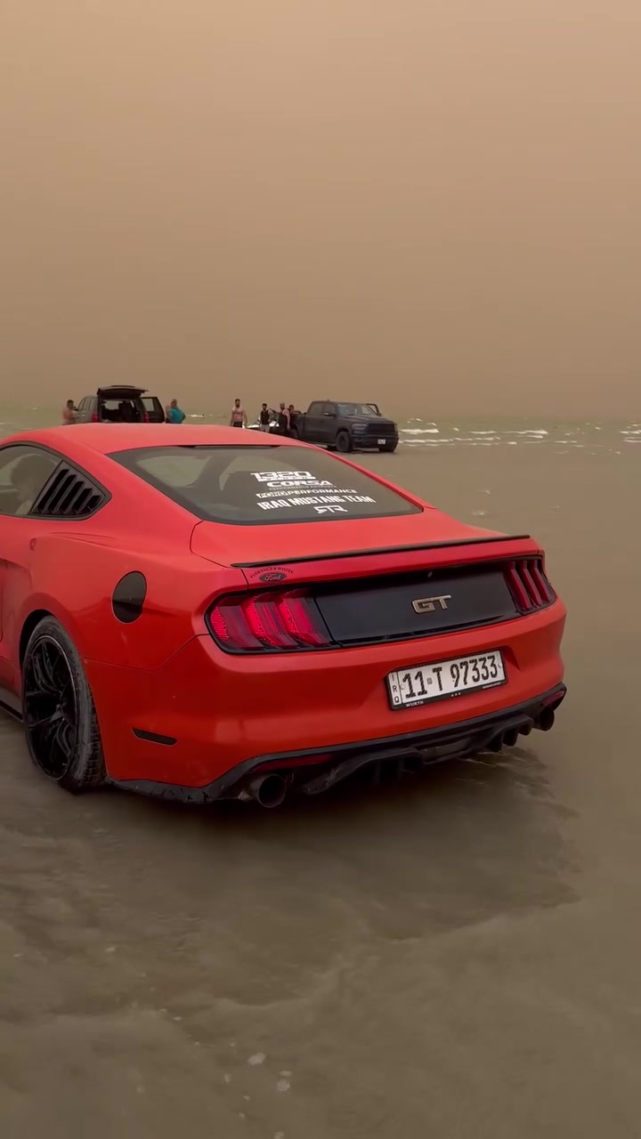 المميز للبيع
موستنك 2015 
محرك V6 3700 🚀 المرغوب
كير اوتماتيك 
لون مميز رقم مميز 
ماشيه 106 حقيقي 
عليها برمجه طلقات و ببكورن 
عليها كزوز HT POWER
عليها ادامه كامله بلكات نوزلات 
تبريد ثلج ❄️
تخم تاير جديد 
ويل اصلي حجم 19
عليها اناره داخليه لد متغير الوان 
بكلات 2023 
محرك كير كفاله 
رقم جديد هزه جديده بأسمي تحويل ثاني يوم 
حادثها چاملغ و بنيد مصبوغه حزام جماليه 
 السعر 119 وبيه مجال بسيط
للاتصال ***********
