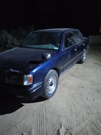 سلام علیکم راس ثور تکم  البیع  کفل عمه  رقم صحب ساره 07830592106