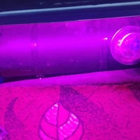 منظومة غاز • فول بيجو بارس • شغالة