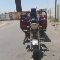 ستوته دايوان غزال • ستوته • دايوان غزال • ستوتة 2020 • محرك بلاد • درا...