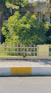 قفاز ريد بول CRX • موديل ٢٠٢٤ • محرك ٣٠٠