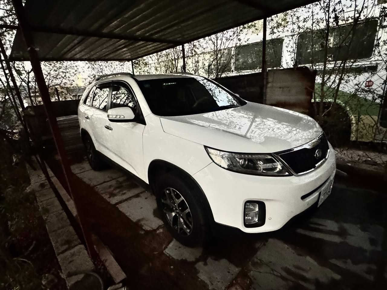 السلام عليكم 
سورنتو 13 شكل 15 
ماشية 98 حقيقي

رقم بغداد الجديد 
مكينة 2400
7 راكب 3 قطع تبريد

تدفئة تبريد .. حساسات امامي خلفي .. نظام اقتصادي
تخم تاير ياباني جديد
مري شفط + اشاير
كشنات جلد + كشن السايق كهربائي 
مكفولة گير مكينة تكم شواصي 
بيهه بارد بسيط + صبغ اسفل البابين عكس السايق بسبب شخوط 
السعر 162 وبيهه مجال 
بغداد / ***********
