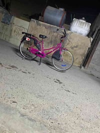 باسكل البيع 07703930126