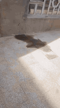 للايـجار
دار مساحة 300م طابق واحد 
يحتوي على غرفتين كليدور، صالة مطبخ صحيات 
حديقة _كراج 
العنوان /حي الزهراء 
***********
***********
