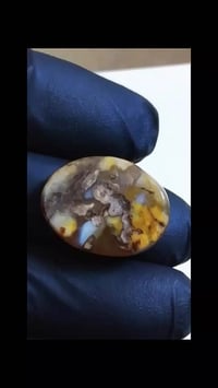 سليماني مصور حجره مال محبس سعر ٤٠الف ٠٧٧٠٣٢١٦٩٣٠