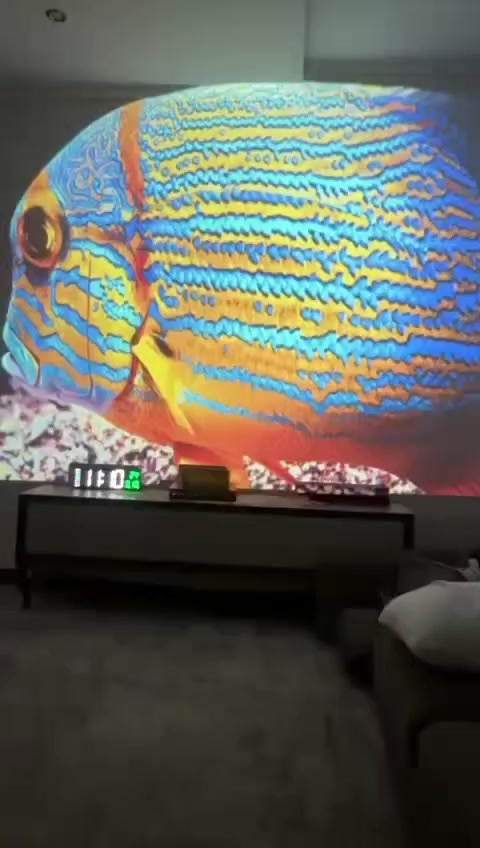 داتا شو hy450 تبعد عن الحايط مترين تعرض حجم ٣ متر او اكثر بدقه عاليه
السطوع: 900 ANSI لومن.

دقة العرض: يدعم دقة تصل إلى 8K.

المميزات: تقنية الرمي القصير جداً (Ultra Short Throw) ونسبة إسقاط 0.6:1.

نظام التشغيل: يعمل بنظام أندرويد 11، ويدعم واي فاي 6 (WiFi6) وبلوتوث 5.4.


**إذا كنت صاحب هذا الإعلان وتريد حذفه لأي سبب، رجاءا أرسل رسالة إلى الدعم الفني**