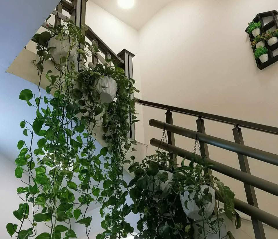 يتوفر لدينا جميع اكسسوارات نباتات 🕊️🐼🦊 توصيل كل محافظات العراق 🚕
الزرع لعرض فقط 🪴 
يتوفر جمله ومفرد 🦊🐼 
سارع لحجز كميه محدوده 🎊 
حجز على خاص ☎️
☎️***********📞
