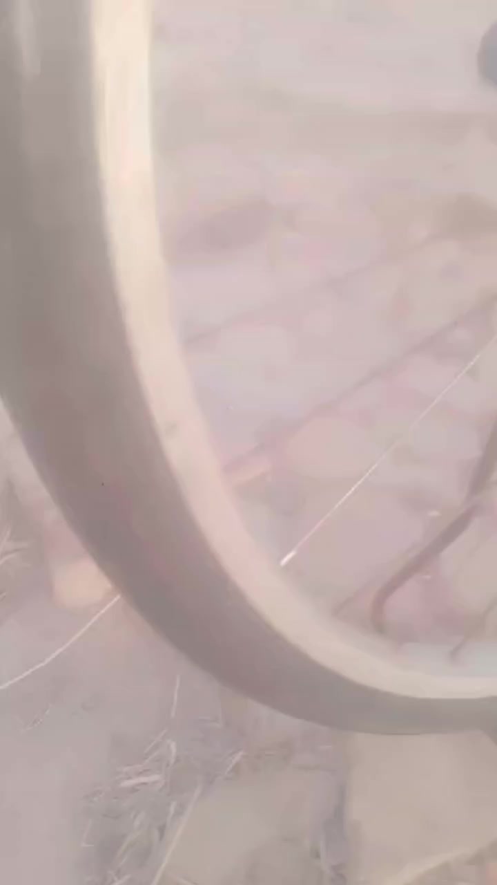 بايسكل ياباني اللي يريدهن يراسلنا واحنا بخدمته


**إذا كنت صاحب هذا الإعلان وتريد حذفه لأي سبب، رجاءا أرسل رسالة إلى الدعم الفني**