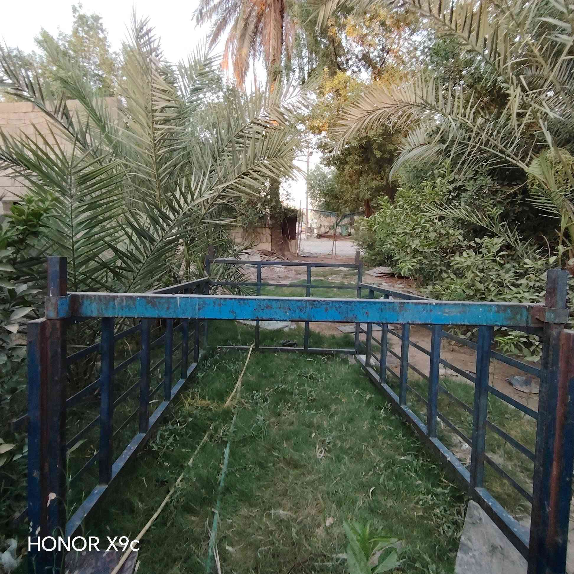 للبيع محجر يرهم بنكو وفونتيرا السعر ٣٠٠ الف
***********
