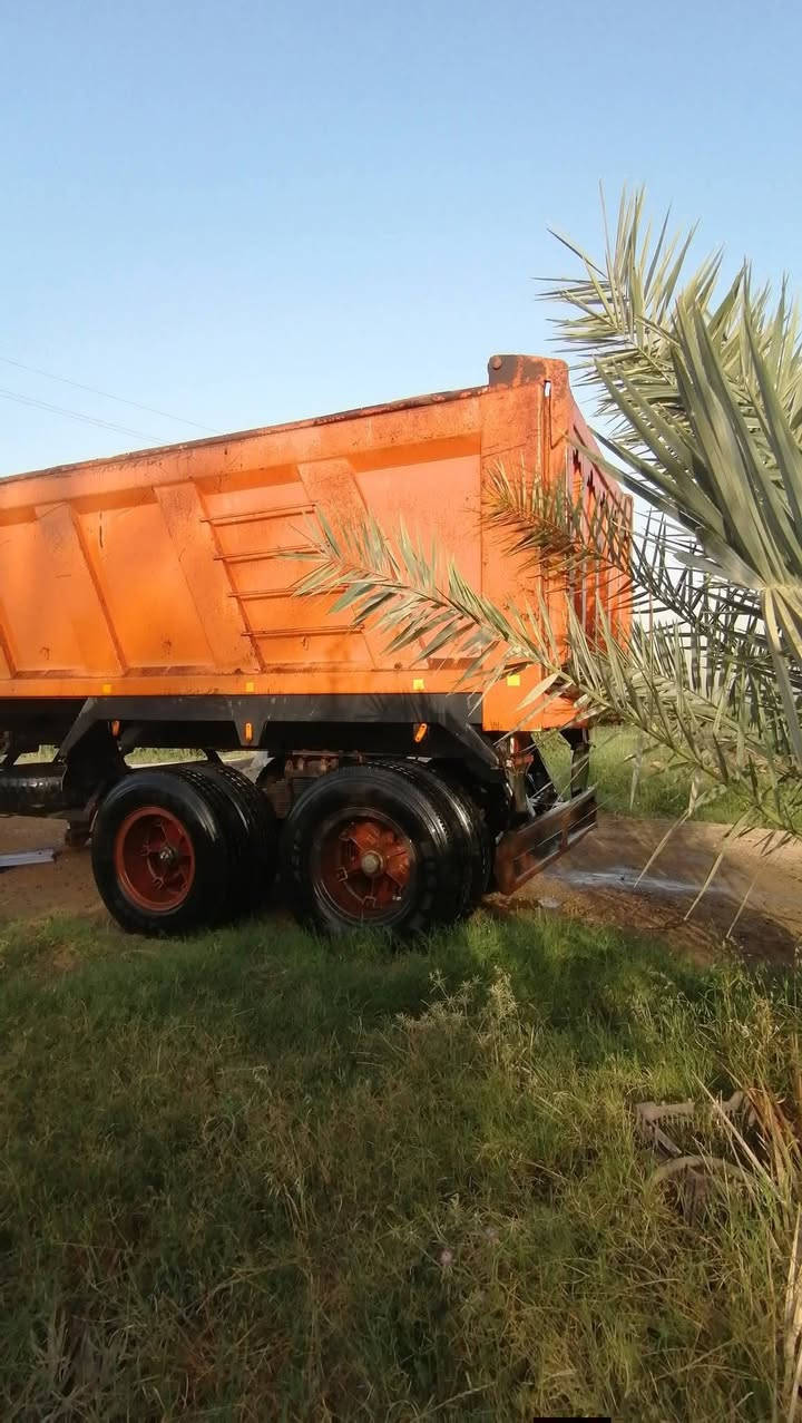 السلام عليكم عربانة ناصر أحمد البيع مجموعة لماني ذرعه ٣١ونص *********** أو ***********@
