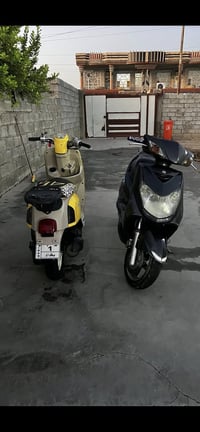 سكنس فحل • مكينه زينه • بغداد التاجي