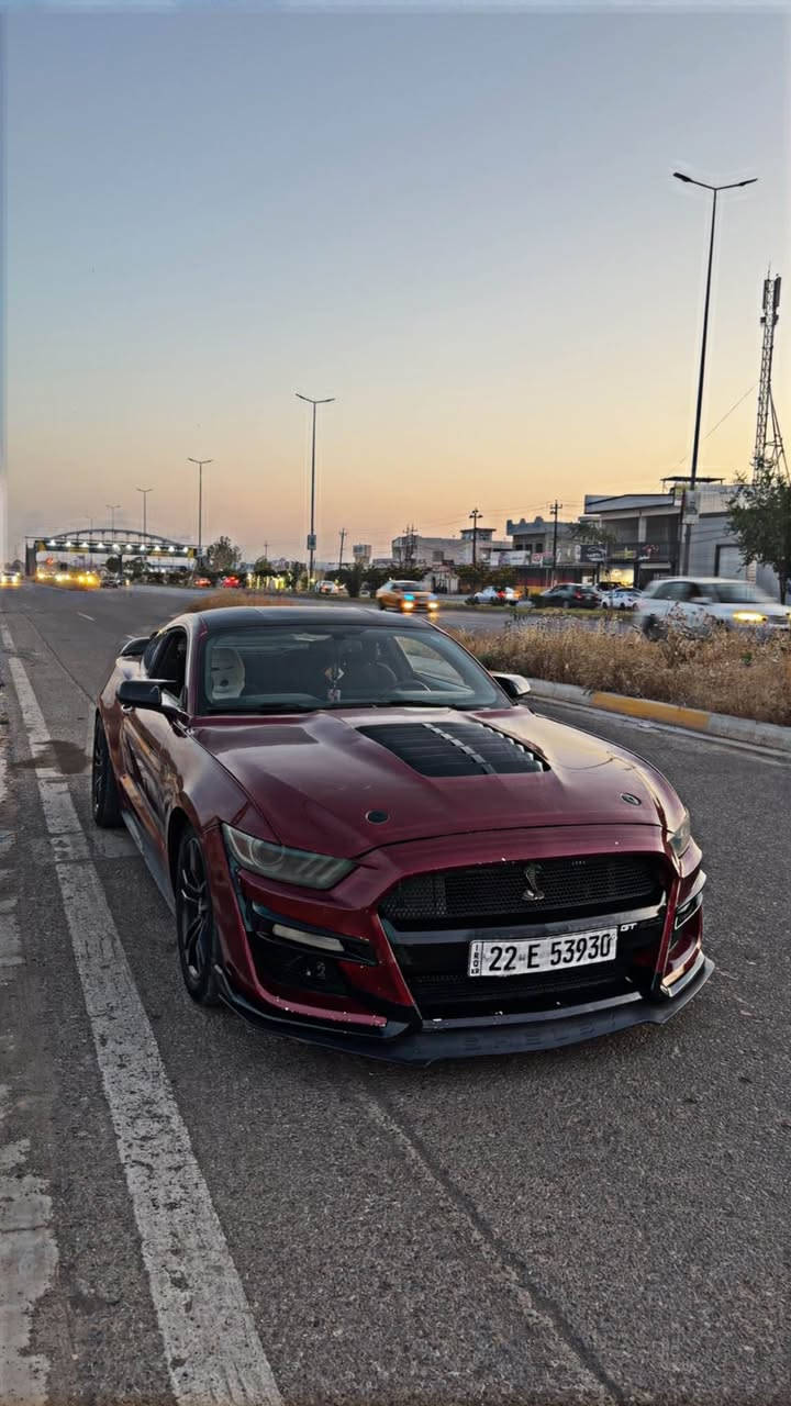 المميز للبيع تم تخفيض السعر 
موستنك 2016 🔥

محرك V6 3700 🚀 المرغوب

كير اوتماتيك  

بنيد شيلبي + دعامية شيلبي  

لون مميز ، عليها اناره داخليه لد متغير الوان 

تبريد ثلج ❄️

رجاء الي ميشوف صور كامل تفاصيل وحادث لايخابرني كلشي موضع بل سونار

 السعر  119$ وبيه مجال

للاتصال *********** كركوك, العراق

