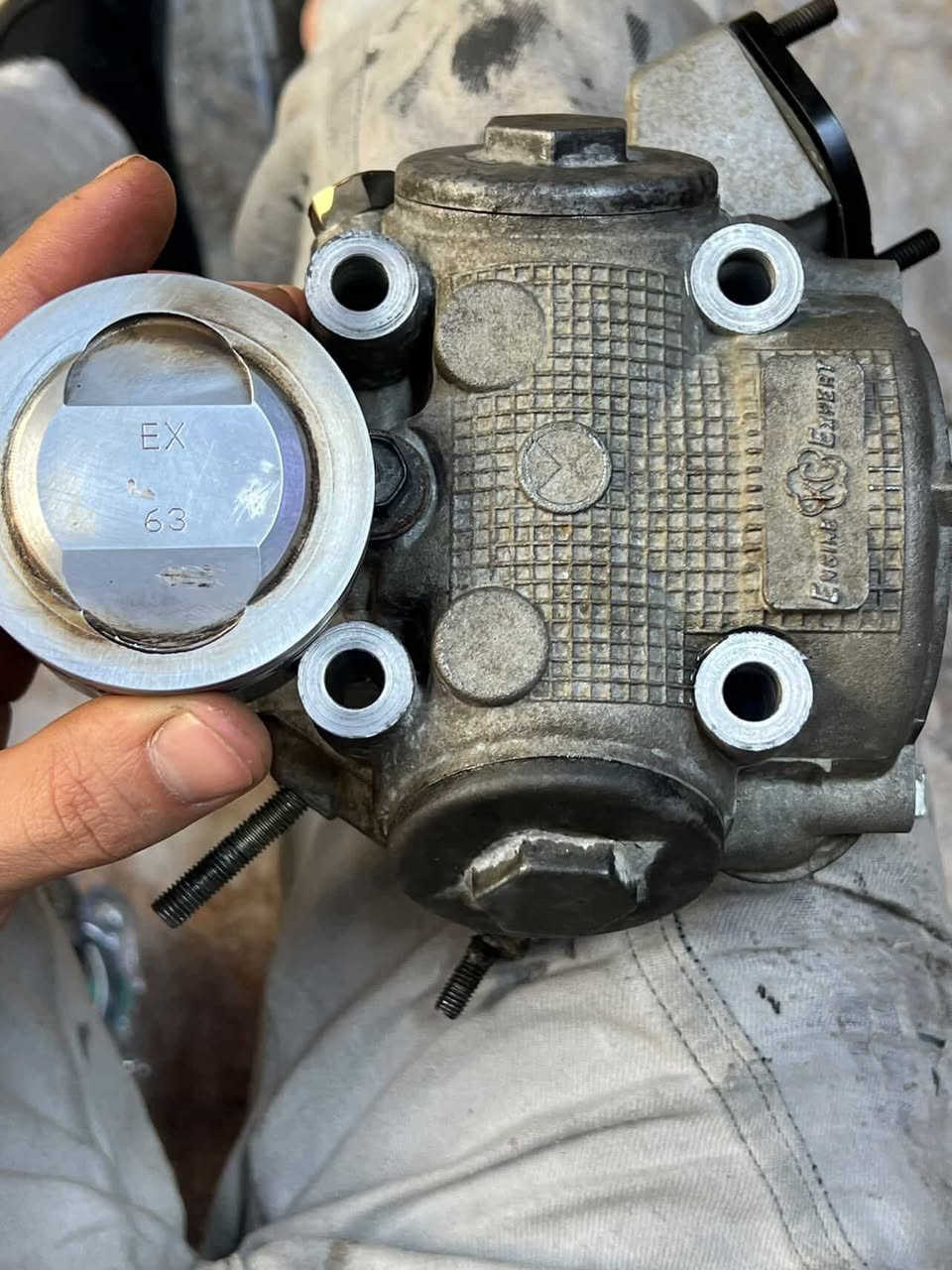 بوشه 63اصليه
كور ولفين  
فكوره ما اريد 
شراي خاص .


**إذا كنت صاحب هذا الإعلان وتريد حذفه لأي سبب، رجاءا أرسل رسالة إلى الدعم الفني**