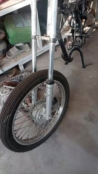 شاصي ارشا • وراق • غراض كلمن