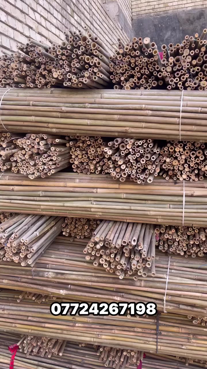 💄 هاشتاقات لكل اسم 

1. AuraBloom
#AuraBloom #GlowWithAura #BloomBeauty #جمال_زهري #تجميل_غامض #العراق #توصيل_العراق

2. VelvetWhisper
#VelvetWhisper #SoftLuxury #WhisperBeauty #مخمل_ساحر #تجميل_راقي #العراق #توصيل_العراق

3. MystiGlow
#MystiGlow #GlowMystic #MysticBeauty #سحر_متلألئ #تجميل_غامض #العراق #توصيل_العراق

4. LumièreSecret
#LumièreSecret #SecretGlow #LightBeauty #أسرار_الضوء #جمال_ساحر #العراق #توصيل_العراق

5. EnchantedBlush
#EnchantedBlush #BlushMagic #SunkissedGlow #احمرار_ساحر #تجميل_مميز #العراق #توصيل_العراق

6. CrystalCharm
#CrystalCharm #ShinyBeauty #CharmYourself #سحر_الكريستال #تجميل_فاخر #العراق #توصيل_العراق

7. MoonPetal
#MoonPetal #MoonGlow #PetalBeauty #جمال_القمر #تجميل_ناعم #العراق #توصيل_العراق

8. FrostedRose
#FrostedRose #FrozenBeauty #RoseGlow #وردة_متجمدة #تجميل_مميز #العراق #توصيل_العراق

9. GlimmerMist
#GlimmerMist #ShimmerBeauty #MistGlow #ضباب_متلألئ #تجميل_ساحر #العراق #توصيل_العراق

10. OpalVibe
#OpalVibe #OpalGlow #VibeBeauty #ذبذبات_الأوبال #تجميل_راقي #العراق #توصيل_العراق


**إذا كنت صاحب هذا الإعلان وتريد حذفه لأي سبب، رجاءا أرسل رسالة إلى الدعم الفني**