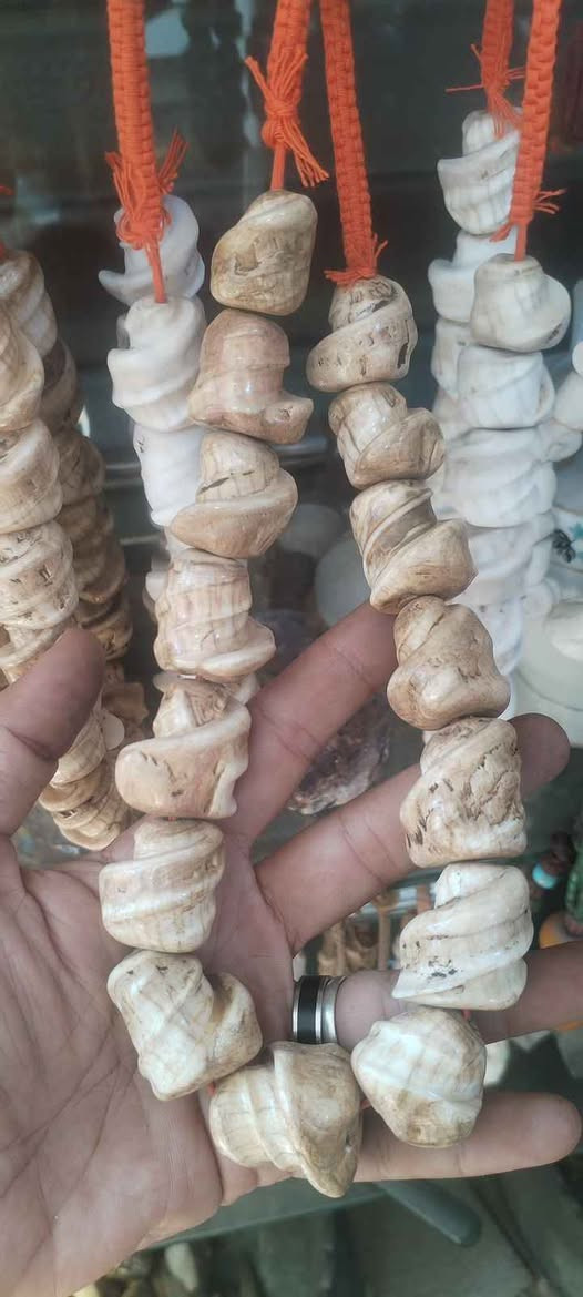 الي على باب الله حجر عطف اصلي قديم المنشأ الهند بلنيبال الساحلية

يوجد جملة مفرد حجر عطف اصلي سعر المكلد ٦٠ الف عدد القطع بالمكلد تتراوح بين ١٥ الي ٣٠ قطعة بالمكلد حسب نوعية الحجرة
للطلب تواصل واتساب ***********
يوجد توصيل كافة محافظات العراق بغداد, العراق
