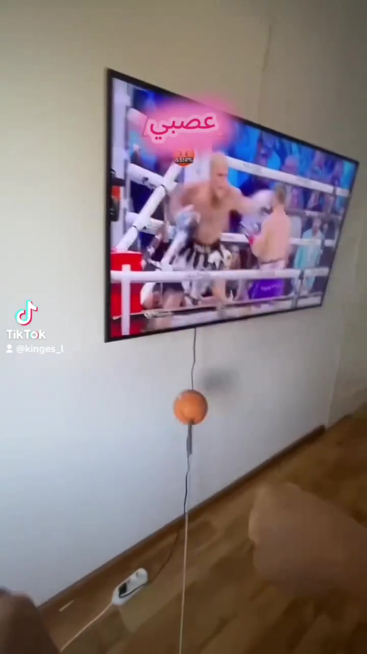 كرة ملاكمة مرتدة ب20 الف 
توصيل موجود


**إذا كنت صاحب هذا الإعلان وتريد حذفه لأي سبب، رجاءا أرسل رسالة إلى الدعم الفني**